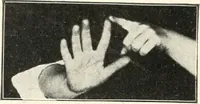 Picture 9 of 132 from Rhymes for little hands (1906), leaf 29