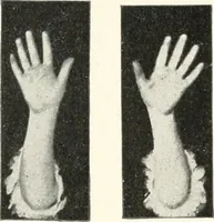 An illustration from Rhymes for little hands (1906)