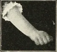Picture 18 of 132 from Rhymes for little hands (1906), leaf 37