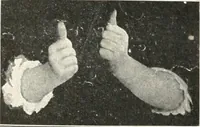 Picture 19 of 132 from Rhymes for little hands (1906), leaf 39