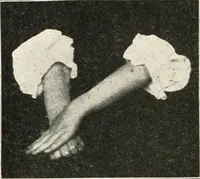 Picture 20 of 132 from Rhymes for little hands (1906), leaf 41