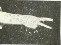 Picture 23 of 132 from Rhymes for little hands (1906), leaf 44