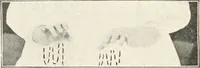 An illustration from Rhymes for little hands (1906)