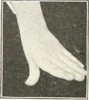 Picture 33 of 132 from Rhymes for little hands (1906), leaf 59