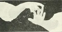 Picture 37 of 132 from Rhymes for little hands (1906), leaf 64