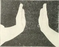 Picture 39 of 132 from Rhymes for little hands (1906), leaf 65