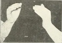 Picture 40 of 132 from Rhymes for little hands (1906), leaf 65