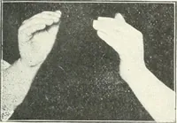 An illustration from Rhymes for little hands (1906)