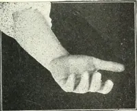An illustration from Rhymes for little hands (1906)