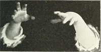 Picture 48 of 132 from Rhymes for little hands (1906), leaf 76