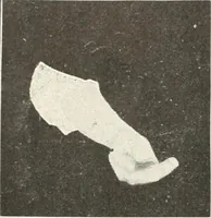 Picture 55 of 132 from Rhymes for little hands (1906), leaf 85