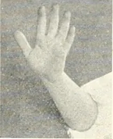 Picture 61 of 132 from Rhymes for little hands (1906), leaf 89