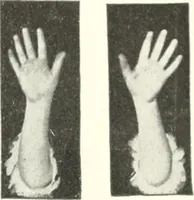 An illustration from Rhymes for little hands (1906)