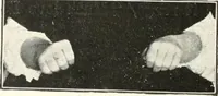 An illustration from Rhymes for little hands (1906)