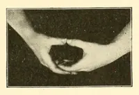 An illustration from Rhymes for little hands (1906)