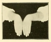 An illustration from Rhymes for little hands (1906)
