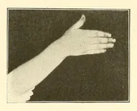 An illustration from Rhymes for little hands (1906)