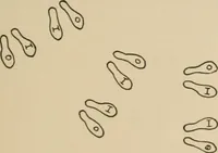 An illustration from Rhythmic action plays and dances; a book of original games and dances, arranged progressively, to Mother Goose and other action songs, with a teaching introductory; for the kindergarten, primary schools, playground and gymnasium (1915)