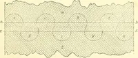 An illustration from Richey's guide and assistant for carpenters and mechanics : a work of practical information, giving almost every geometrical and practical problem likely to arise in the work of the carpenter, and quick and easy methods for their solution : the use of the steel square, etc., tables showing strength and weight of materials, methods of framing, useful recipes, etc., etc. (1894)