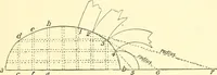An illustration from Richey's guide and assistant for carpenters and mechanics : a work of practical information, giving almost every geometrical and practical problem likely to arise in the work of the carpenter, and quick and easy methods for their solution : the use of the steel square, etc., tables showing strength and weight of materials, methods of framing, useful recipes, etc., etc. (1894)