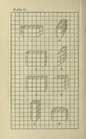 An illustration from Friedrich Froebel's pedagogics of the kindergarten, or, His ideas concerning the play and playthings of the child; (1909)