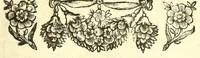 Picture 2 of 51 from Ricreatione dell'occhio e della mente nell'osseruation' delle Chiocciole : proposta a' curiosi delle opere della natura (1681), leaf 25