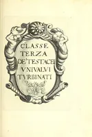 An illustration from Ricreatione dell'occhio e della mente nell'osseruation' delle Chiocciole : proposta a' curiosi delle opere della natura (1681)