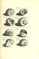 An illustration from Ricreatione dell'occhio e della mente nell'osseruation' delle Chiocciole : proposta a' curiosi delle opere della natura (1681)