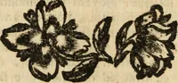 An illustration from Riflessioni sopra il buon gusto neele scienze, e nelle arti (1721)