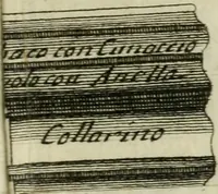 An illustration from Riflessioni sulla pretesa scoperta del sopraornato Toscano : espostaci dall'autore dell'opera degli anfiteatri, e singolarmente del Veronese (1730)