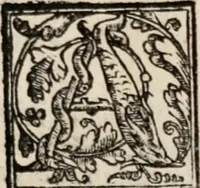 An illustration from Rime de gli academici Eterei dedicate alla Serenissima Madama Margherita di Vallois, dvchessa di Savoia (1567)