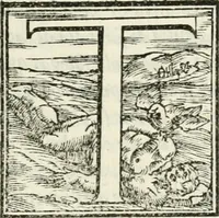 An illustration from Rime de gli Academici occvlti : con le loro imprese et discorsi (1568)