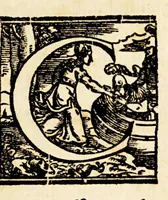 Picture 6 of 7 from Rime del commendatore Annibal Caro (1569), leaf 11