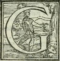 Picture 7 of 21 from Rime di Madonna Gaspara Stampa (1554), leaf 13