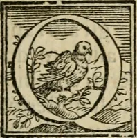An illustration from Rime et imprese (1588)