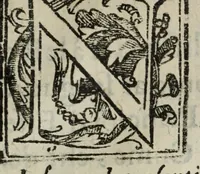 An illustration from Ritratti de sermi. principi d'Este sigri. di Ferrara : con l'aggionta de loro fatti più memorabili ridotti in sommario (1641)