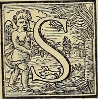 Picture 9 of 44 from Ritratti di alcuni celebri pittori del secolo XVII (1731), leaf 20