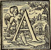 Picture 43 of 44 from Ritratti di alcuni celebri pittori del secolo XVII (1731), leaf 292