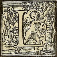 Picture 2 of 44 from Ritratti di alcuni celebri pittori del secolo XVII (1731), leaf 6