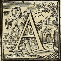 Picture 29 of 44 from Ritratti di alcuni celebri pittori del secolo XVII (1731), leaf 80