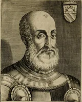 Picture 111 of 139 from Ritratti et elogij di capitani illustri : che ne' secoli moderni hanno gloriosamente guerreggiato (1647), leaf 311