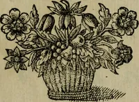An illustration from Ritratti et elogij di capitani illustri : che ne' secoli moderni hanno gloriosamente guerreggiato (1647)