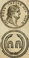 Picture 68 of 250 from Ritratto di Roma antica : nel qvale sono figvrati i principali tempij, theatri, anfiteatri, cerchi, naumachie, archi trionfali, curie, basiliche, colonne, ordine del trionfo, dignita militari, e ciuili, riti cerimonie, & altre cose notabili : aggiuntoui di nuouo le vite, & effigie de' primi rè di essa, e le grandezze dell'Imperio Romano, con l'esplicationi istoriche de' piu celebri antiquarij (1654), leaf 116