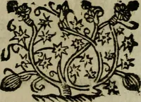 Picture 75 of 181 from Ritratto di Roma moderna (1638), leaf 200