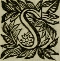 Picture 78 of 181 from Ritratto di Roma moderna (1638), leaf 208