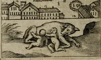 Picture 98 of 181 from Ritratto di Roma moderna (1638), leaf 261