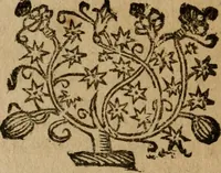 Picture 107 of 181 from Ritratto di Roma moderna (1638), leaf 295