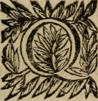 Picture 120 of 181 from Ritratto di Roma moderna (1638), leaf 333
