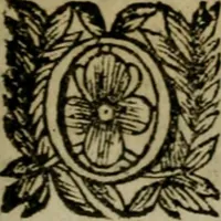 Picture 137 of 181 from Ritratto di Roma moderna (1638), leaf 386
