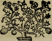 Picture 138 of 181 from Ritratto di Roma moderna (1638), leaf 388